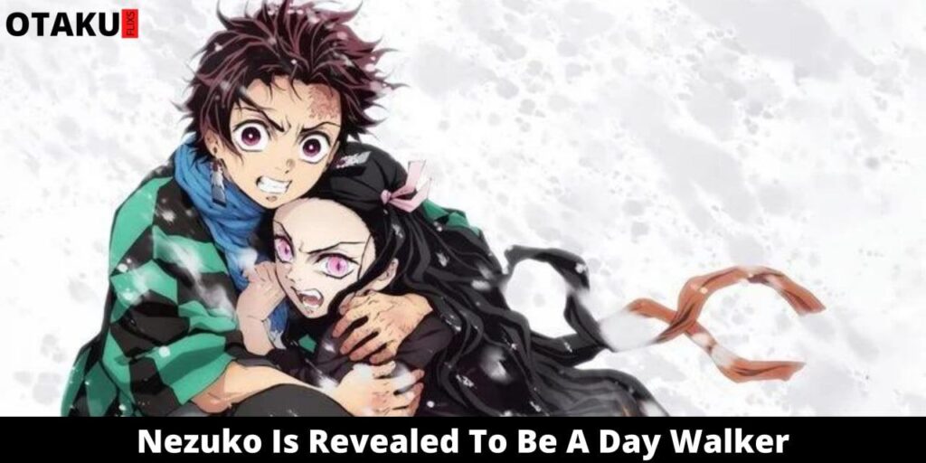 Nezuko Is Expose To Be A Day Walker