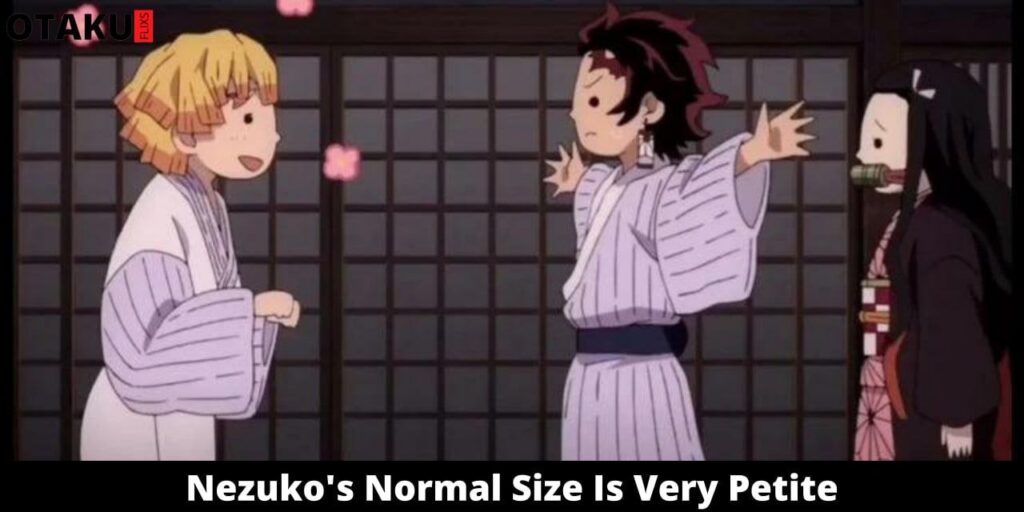 Nezuko's Normal Size Is Very Small