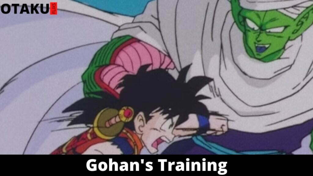Gohan's Training