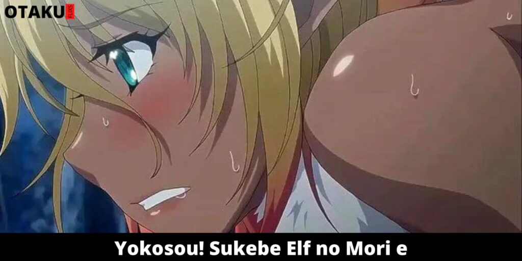 Yokosou! Sukebe Elf no Mori e