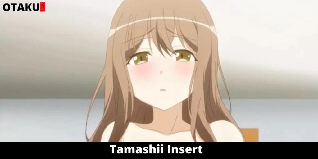 Tamashii Insert