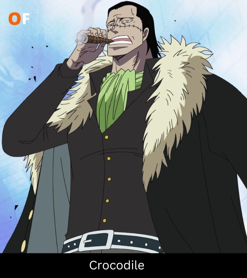 Crocodile