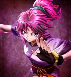 Most Popular Hunter x Hunter Female Characters