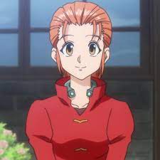 Most Popular Hunter x Hunter Female Characters