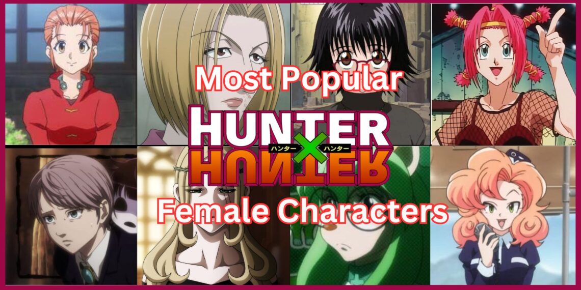 Most Popular Hunter x Hunter Female Characters