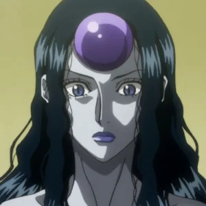 Most Popular Hunter x Hunter Female Characters