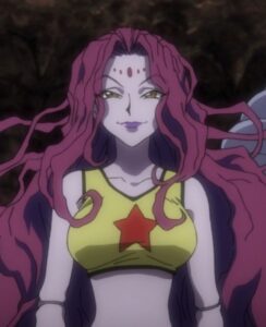 Most Popular Hunter x Hunter Female Characters