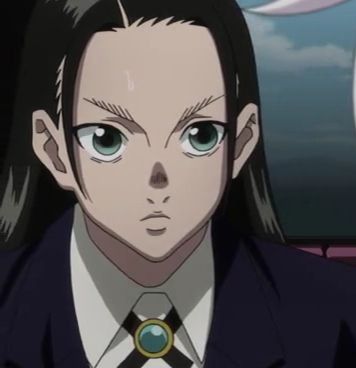 Most Popular Hunter x Hunter Female Characters